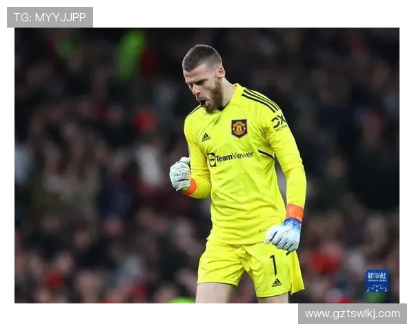 B 费传射造芒特制胜球 曼联 2-2 埃弗顿捧起夏季赛冠军